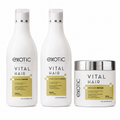 Kit Repair Vital Hair